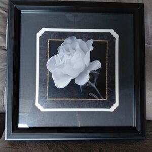 Kohl's Black and White Rose Wall Art